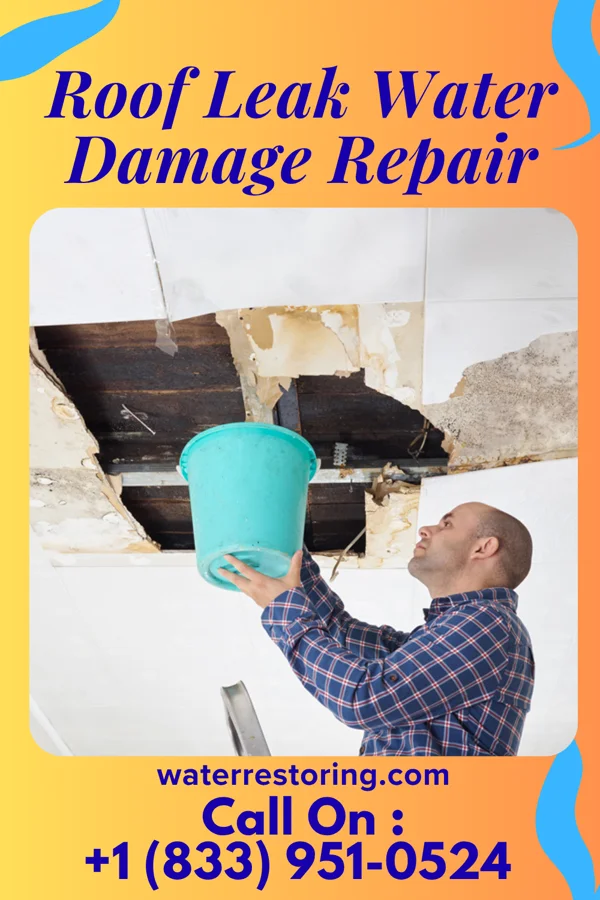Roof Leak Water Damage Repair in Cleves, OH